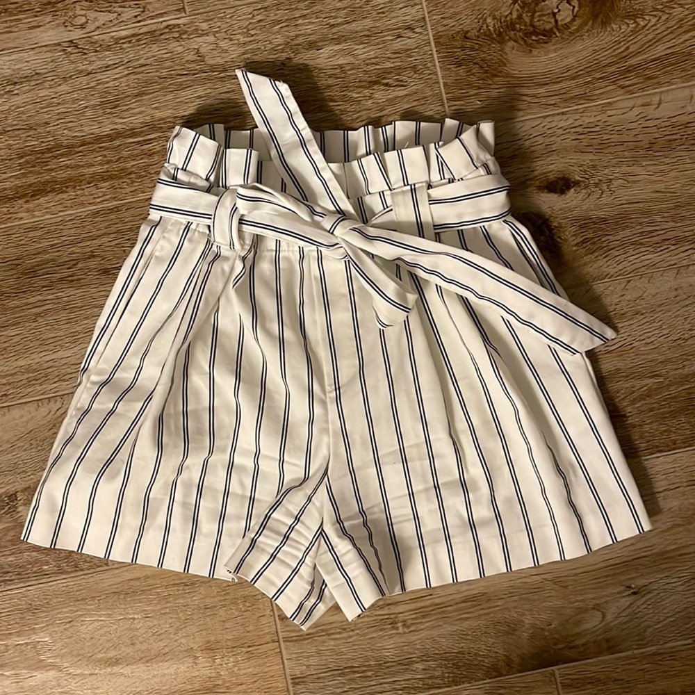 Zara Shorts